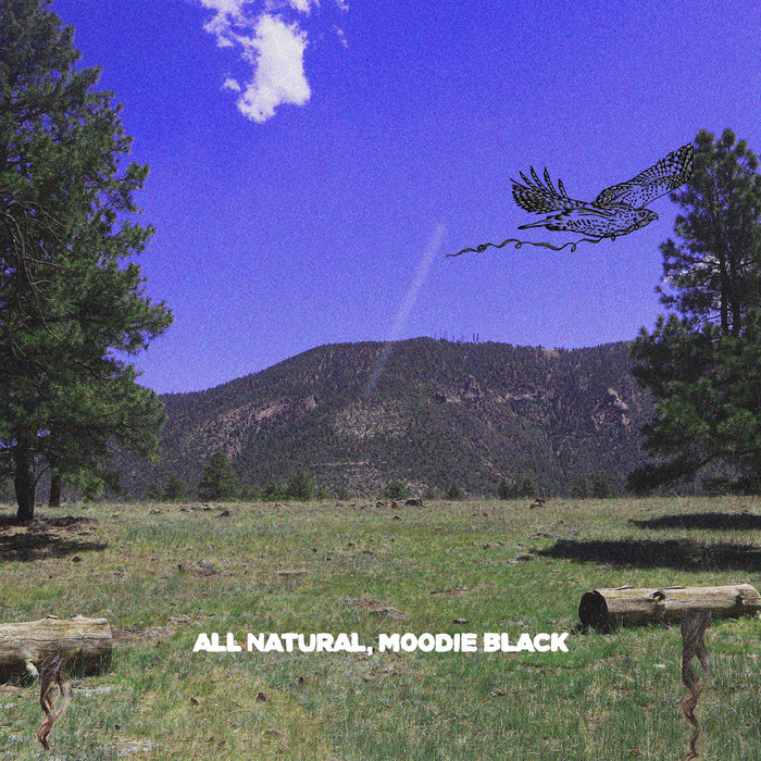 Pochette de All Natural par Moodie Black