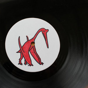 Evolution of Quetzalcoatlus cover
