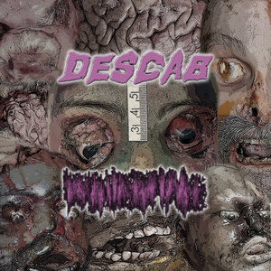 Regurgitasi — Organ Dismantlement