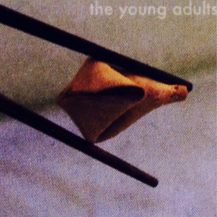 The Young Adults — Photo