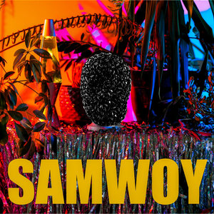 SAMWOY - SbwrielSAMWOY cover
