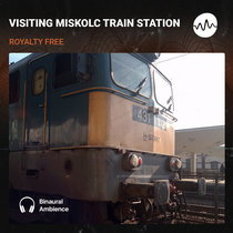 Visiting Miskolc Train Station cover art