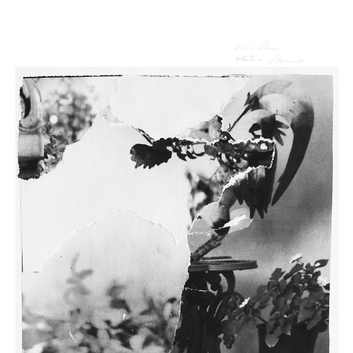 Water Flowers (Piano Works) Emilía Rottenman Editions