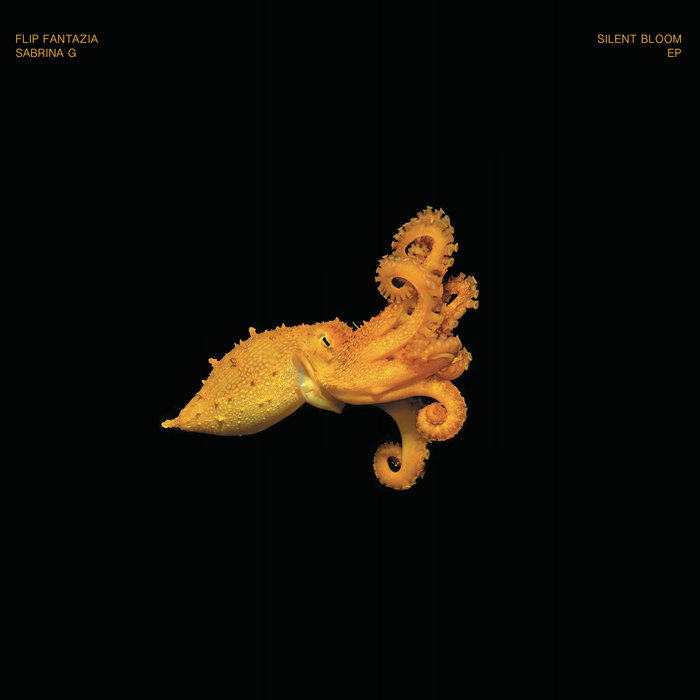 Pochette de Flip Fantazia - Silent Bloom EP (Evovinyl pressing) par Flip Fantazia