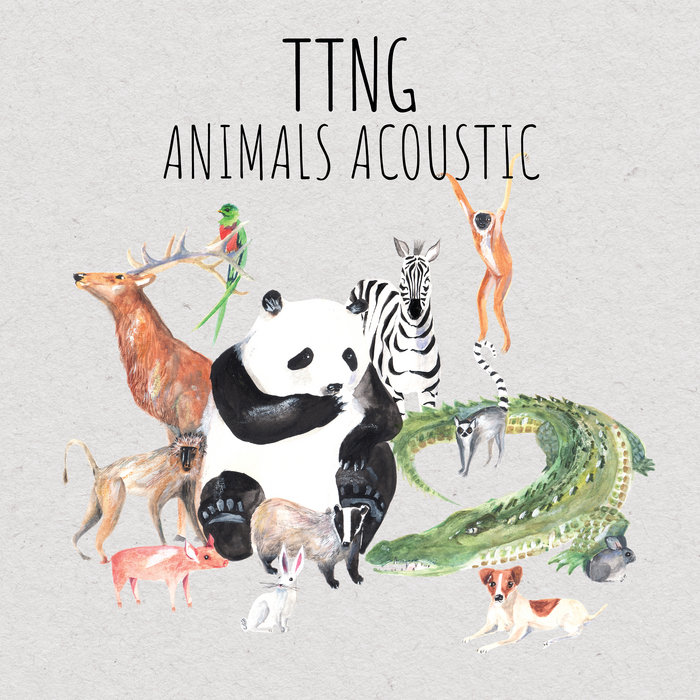 洋楽 TTNG This Town Needs Guns / Animals LP THIS TOWN NEEDS GUNS - Animals - Amazon.com Music