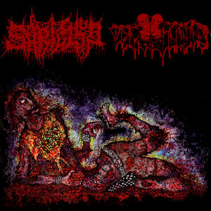 Split w/ Born Backwards cover