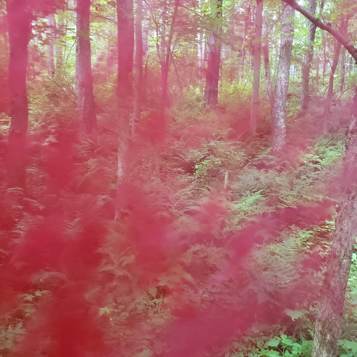 Endless Rust on Plastic Ribbon: IV Track Studies of 2021 | nd dentico