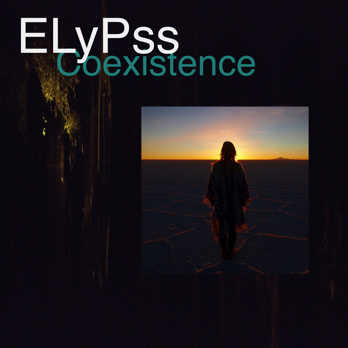 Coexistence cover
