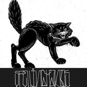 BLACK KAT cover