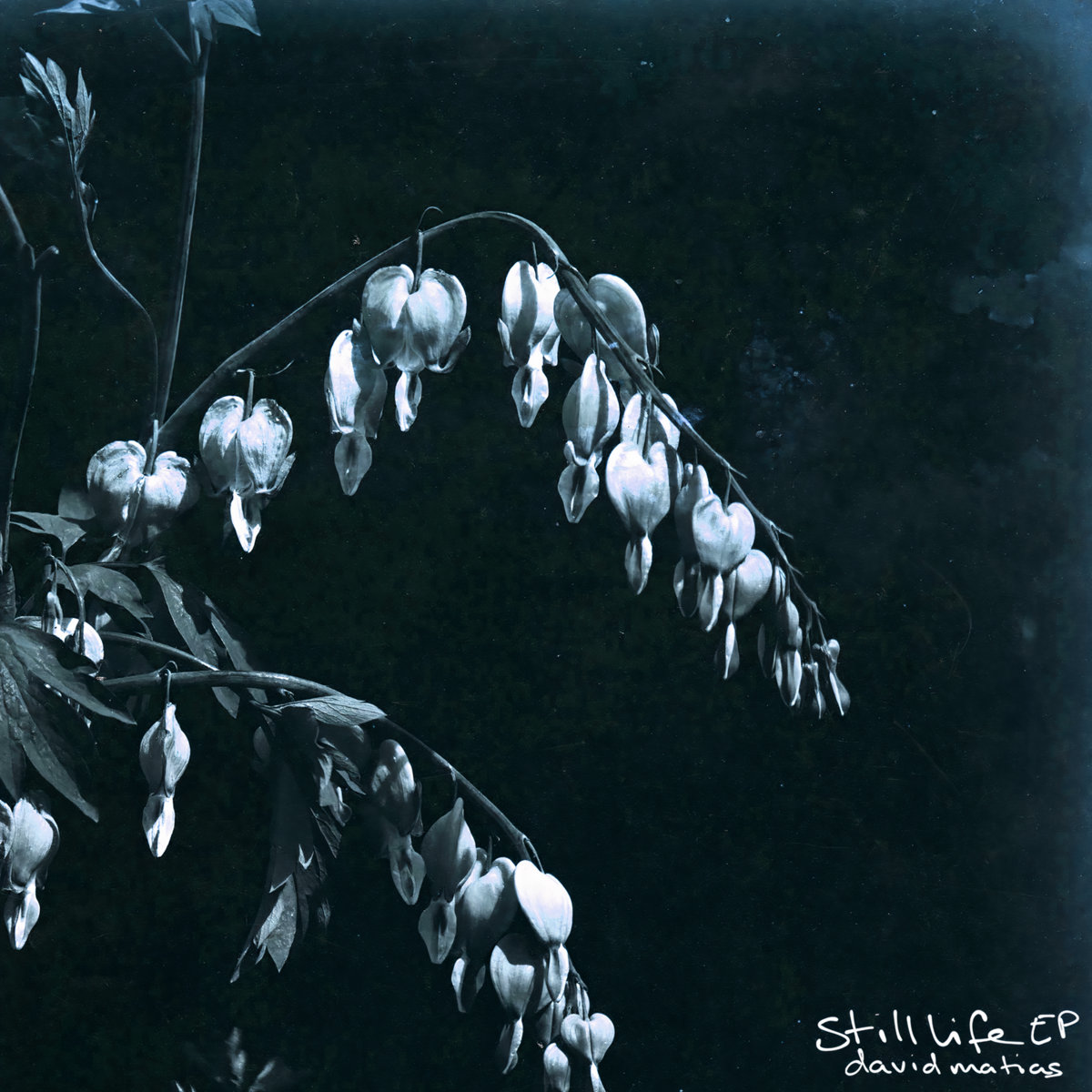 David Matias – still life EP David Matias – still life EP