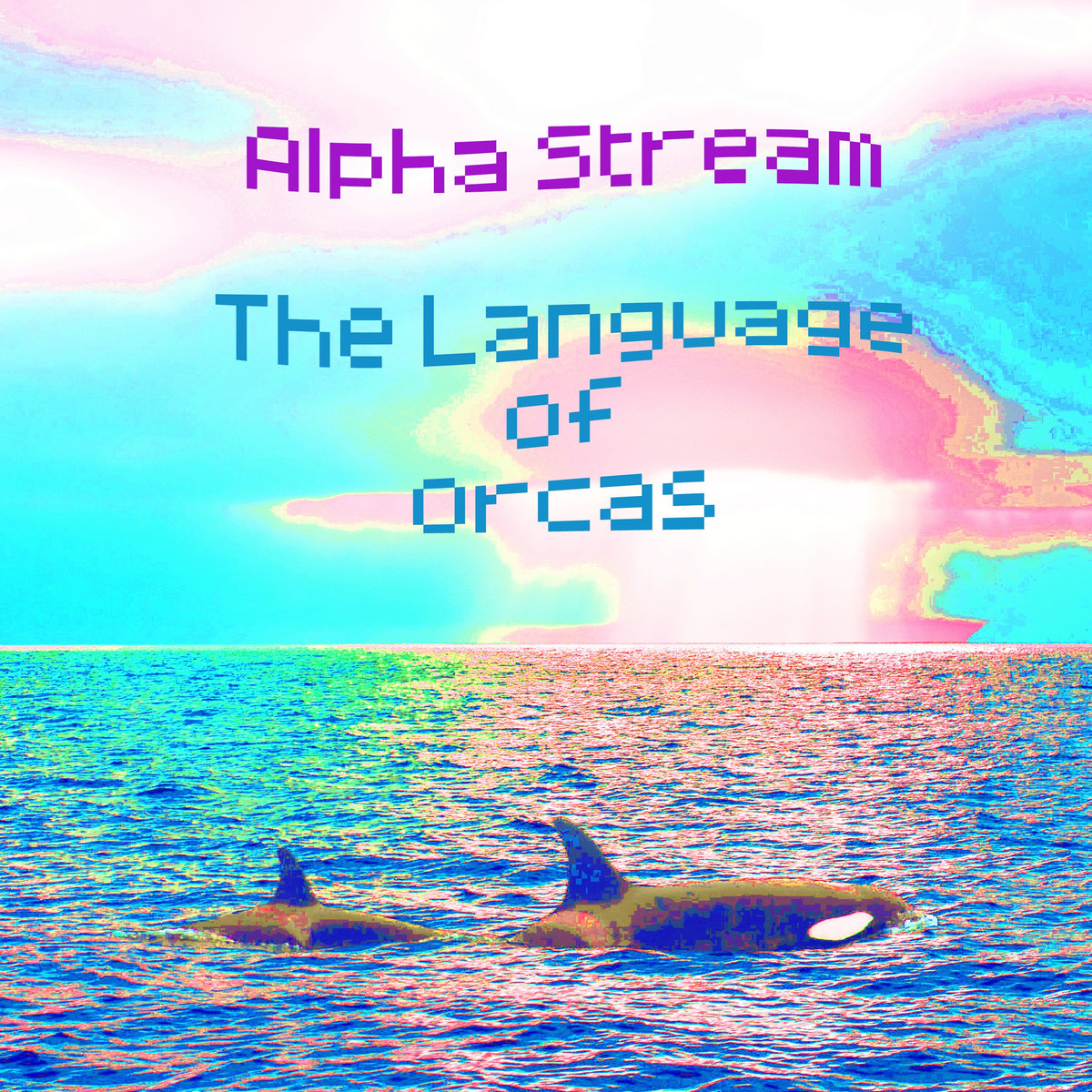Orca Language Decoding The Language of Orcas | Alpha Stream
