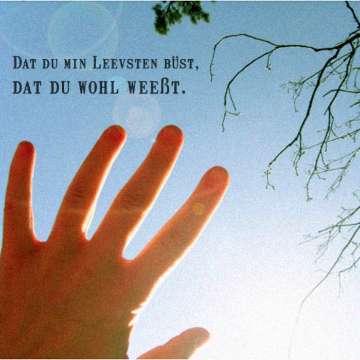 Dat Du Min Leevsten Büst Text Hochdeutsch
