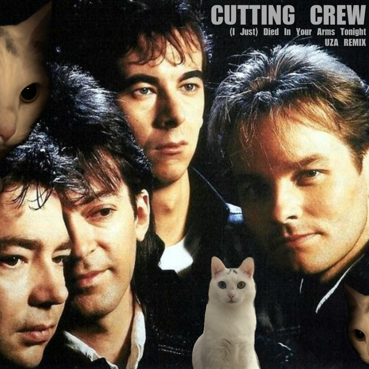 Died in your arms cutting crew. Died in your arms cutting crew. Komodo i just died in your arms. Песня i just died. Cutting crew - (i just) died in your arms tonight.