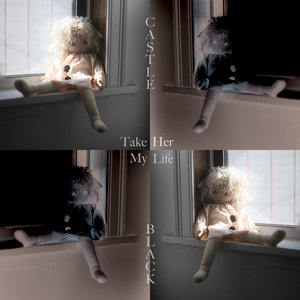 Take Her My Life cover
