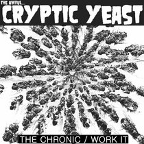 The Chronic / Work it cover art