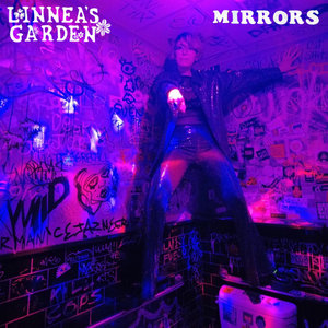Mirrors cover