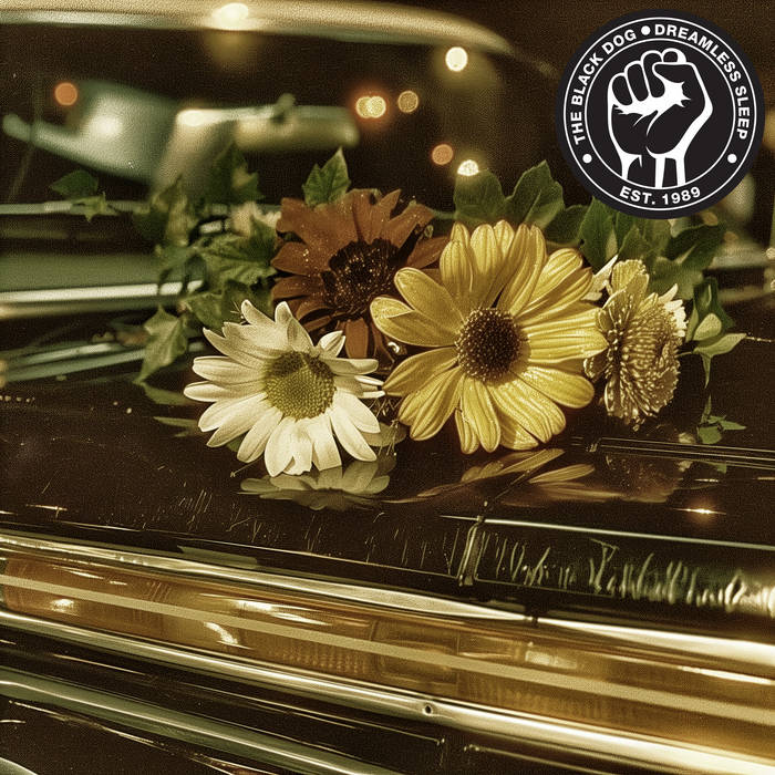 Dreamless Sleep EP | The Black Dog