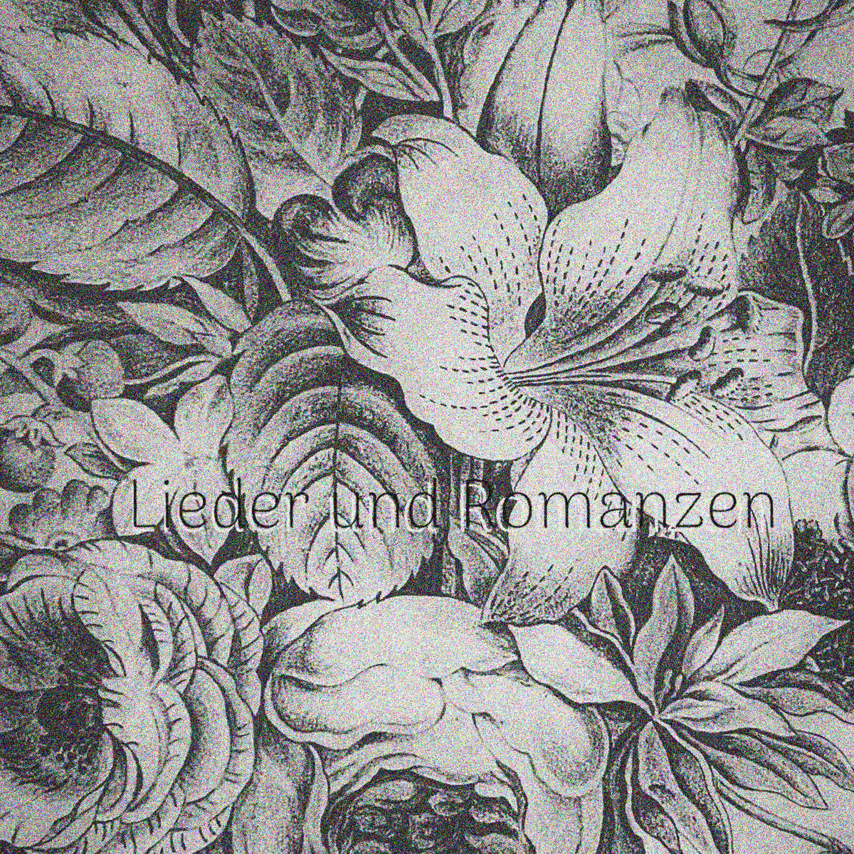 12 Lieder Und Romanzen 2 De Johannes Brahms | Acheter Dans La Boutique