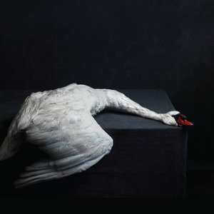 MASS VI + bonus tracks cover