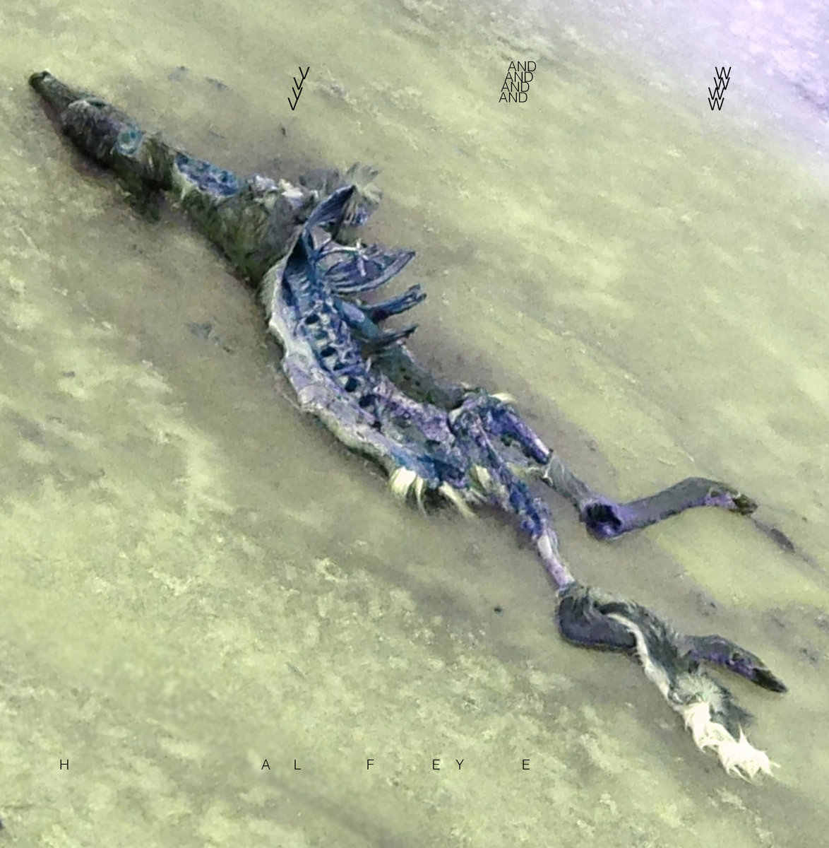 Sunset Magazine and Juggs Magazine | Half Eye