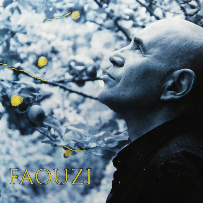 faouzi Faouzi