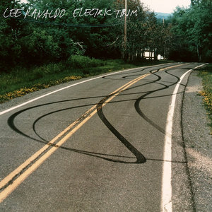 Lee Ranaldo — Electric Trim