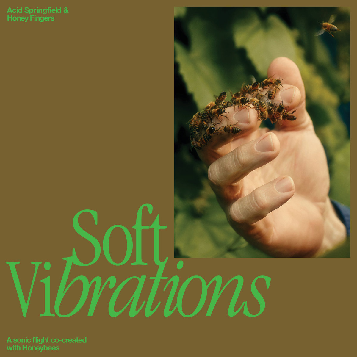 Soft Vibrations