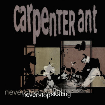 Never Stop Skating | Carpenter Ant | Lehigh Valley Music Archive