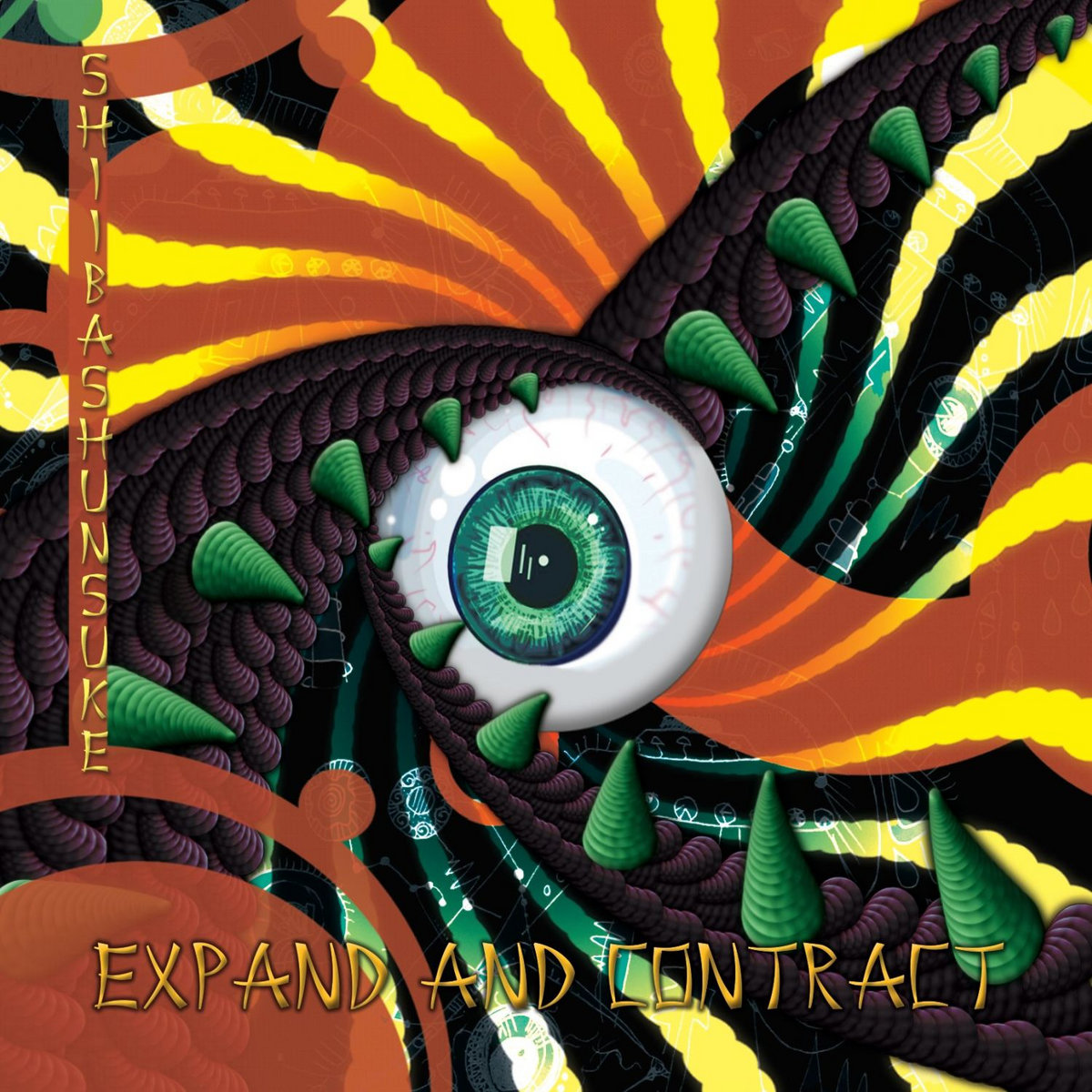 Expand and Contract Shiibashunsuke Insomnia Records