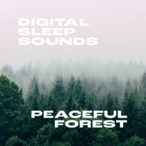 Peaceful Forest cover art