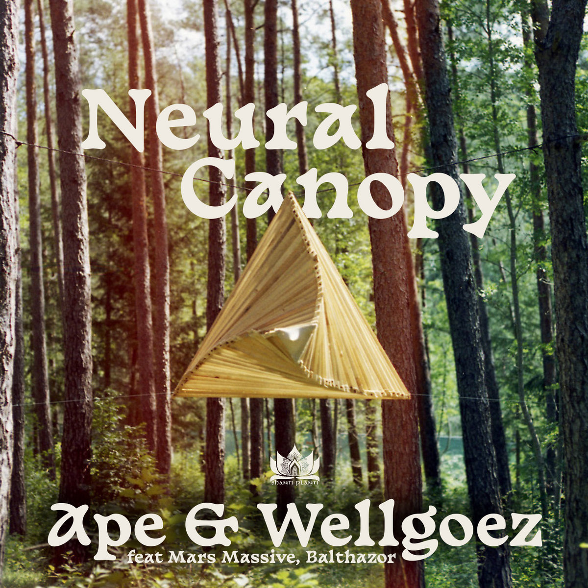 Neural Canopy album cover