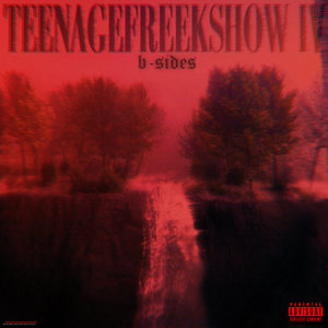 TeenageFreekshow IV: B-SidesWildcard cover