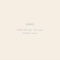 Little Bird (Feiertag Remix) cover art