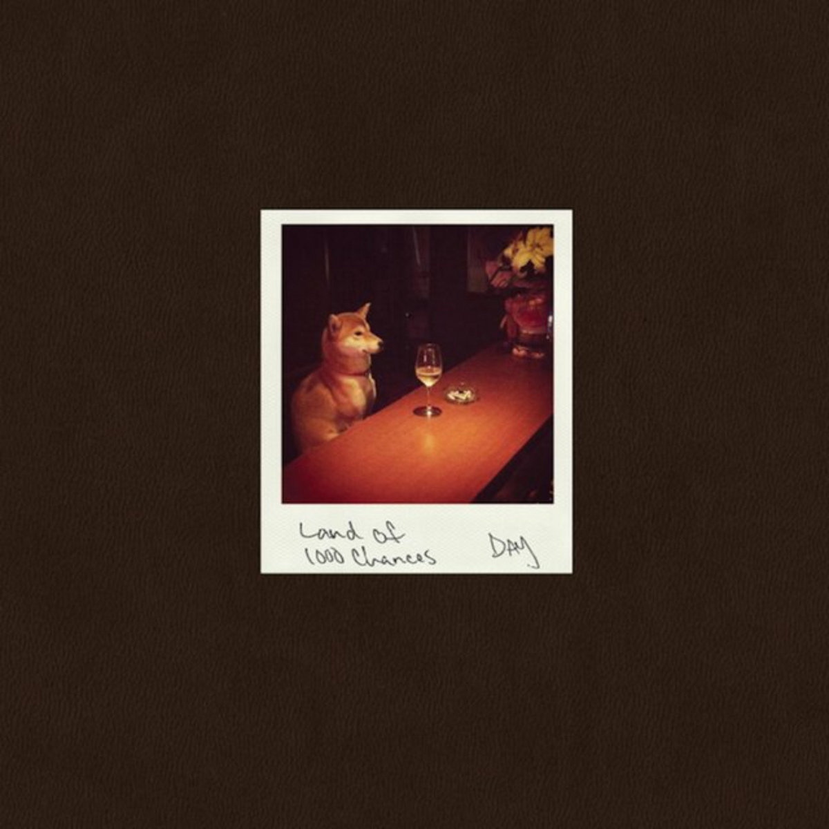 USオリジナル LAND OF 1000 CHANCES DJ DAY レコード Land of 1000 Chances | DJ Day