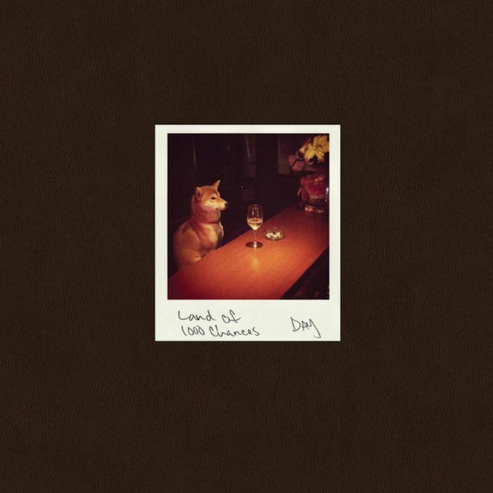 USオリジナル LAND OF 1000 CHANCES DJ DAY レコード Land of 1000 Chances | DJ Day