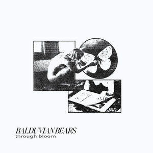 Balduvian Bears — Through Bloom