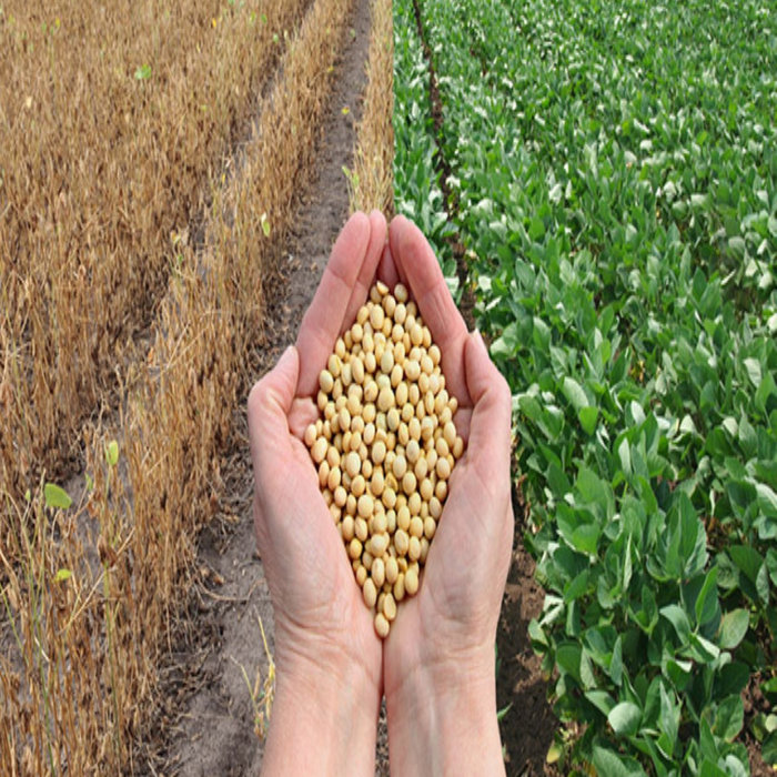 Yield Calculator Smithdd