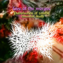 Live at the morgue cover art