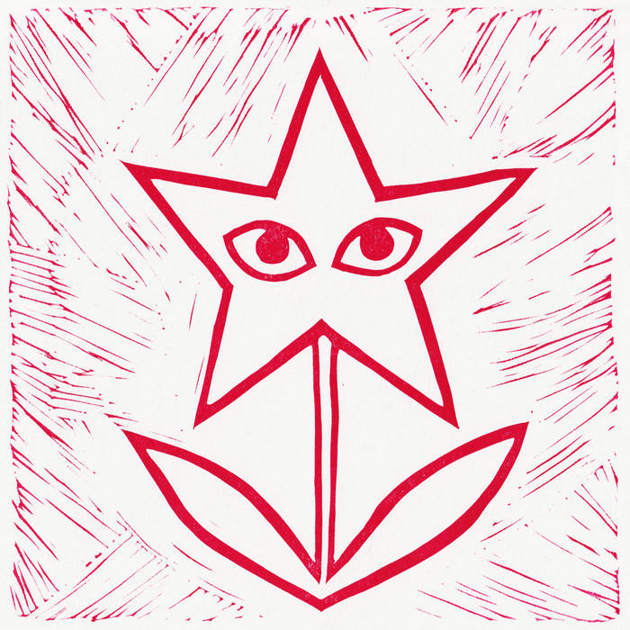 NINUSH / THE FLOWERS I SEE YOU IN レコード The Flowers I See You In | Ninush