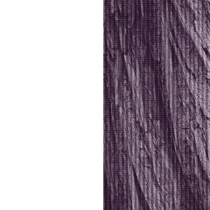 MFS Short Seq | MFSamples