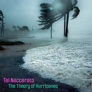 The Theory of Hurricanes cover