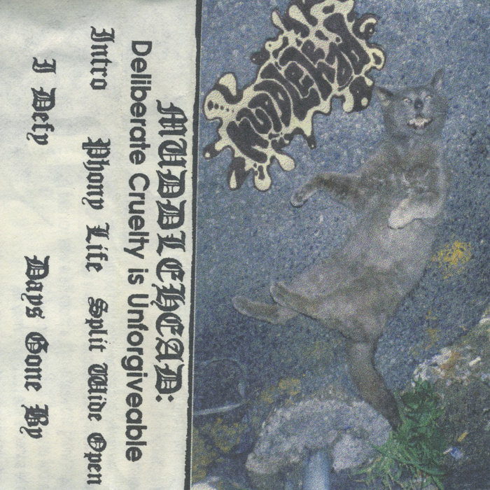 Deliberate Cruelty is Muddlehead