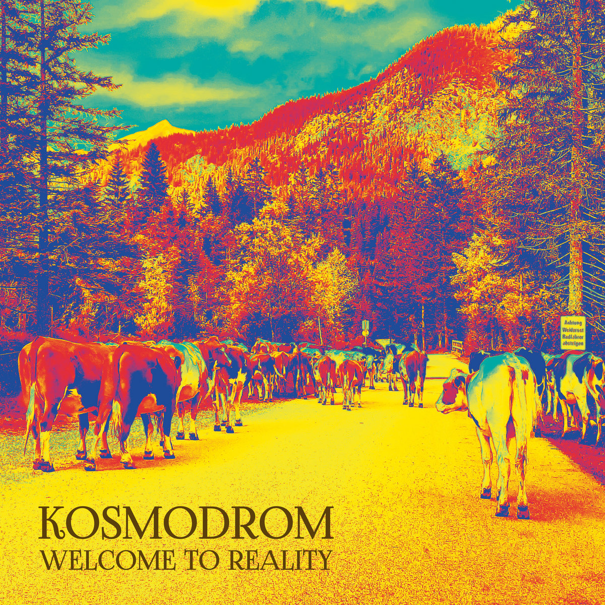 Welcome To Reality by Kosmodrom