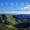 Synemy Cover Art