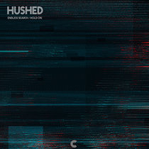 Endless Search / Hold On cover art