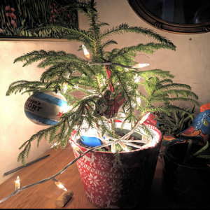 Happy holidays ya motherfuckers. Hope they are safe and jolly. These songs; are underproduced, and melancholy cover