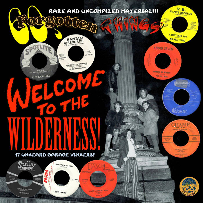 Various - 60's Forgotten Things - Welcome To The Wilderness