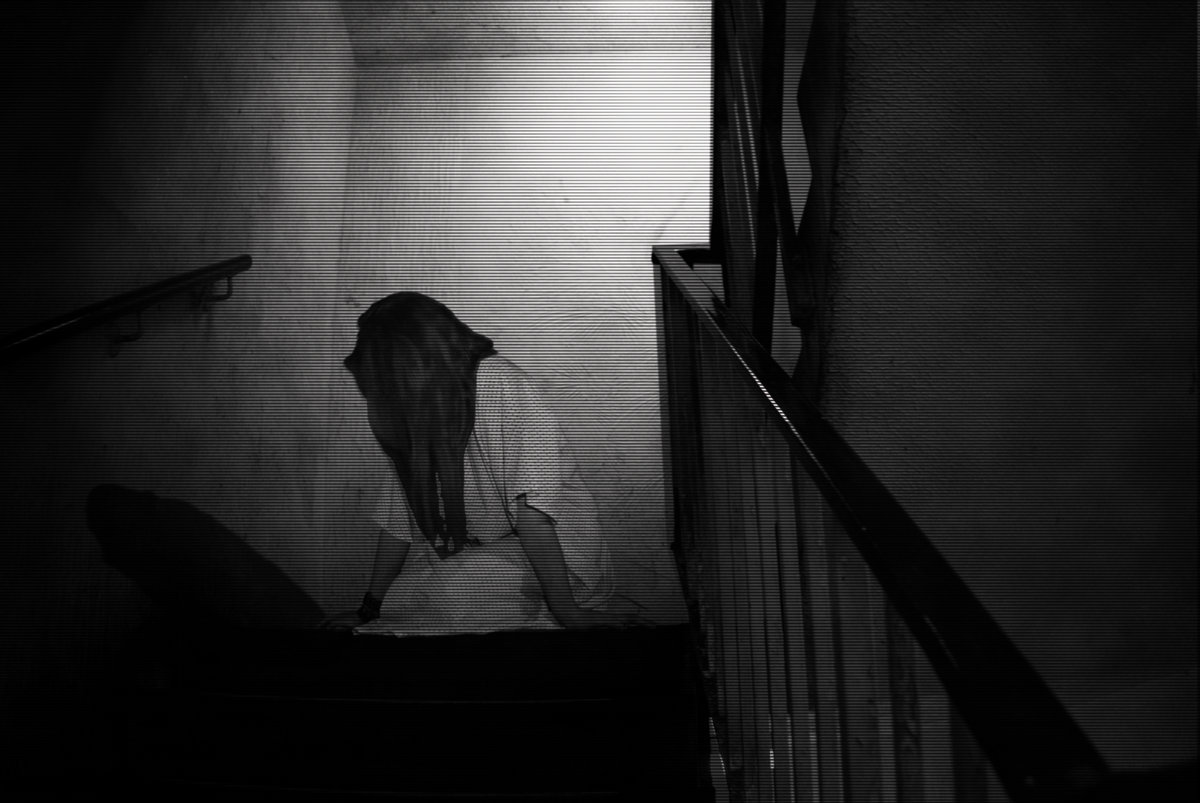 Querida Abby, | Señor Creepypasta, image size:1200x803