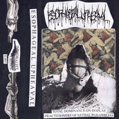 Raw Gorenoise Music & Artists | Bandcamp