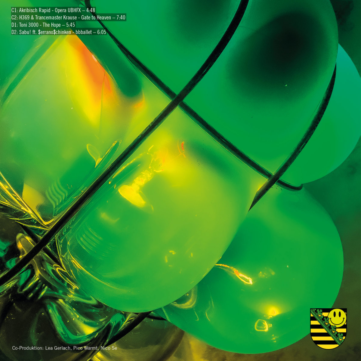 独2LP Sachsentrance x DURCH Sachsentrance x DURCH DURCHxST001 Sachsentrance /00520 a2246005578_10.jpg